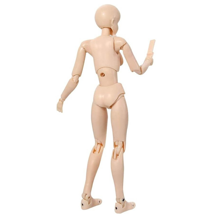 Action Figures Body Kun DX And Body Chan DX Figure Models For Artist