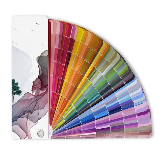 1000 Traditional Vibrant Color Cards