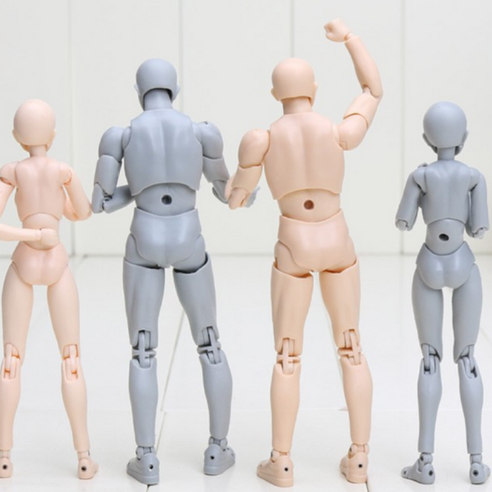 Official Body Kun and Body Chan Model Figures for Artists